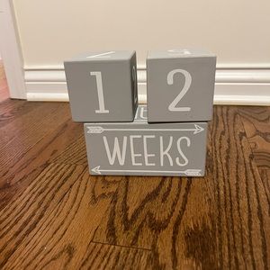 The PeanutShell™ 3-Piece Milestone Block Set in Grey/White